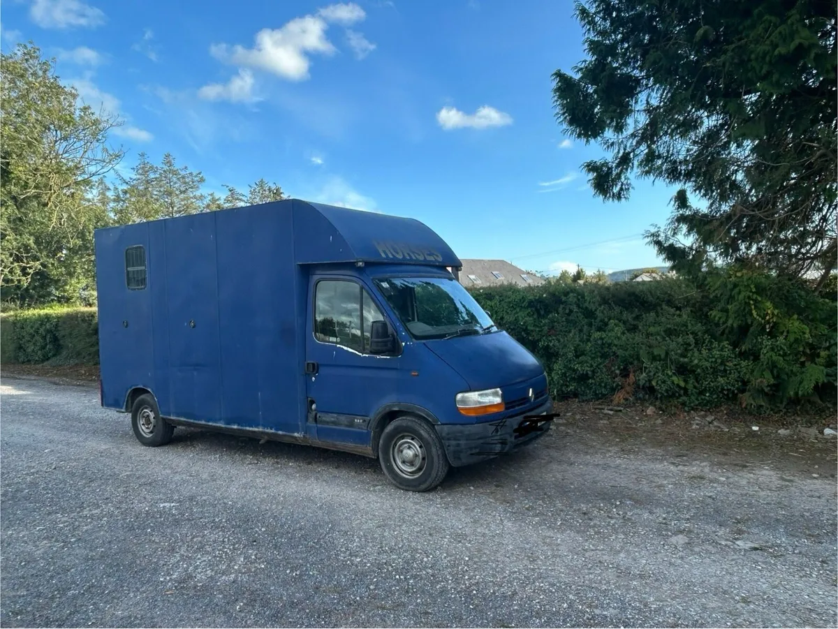3.5 tonne Renault Master horse transporter - Image 1