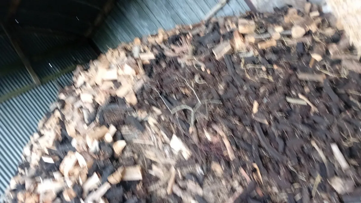 Firewood - Image 2