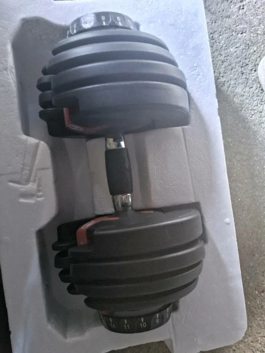Bowflex Adjustable Dumbells - Image 1