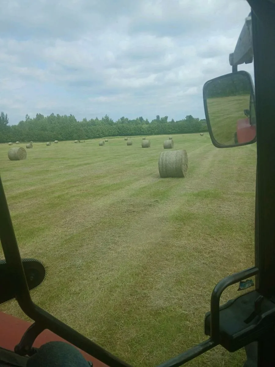 Hay.  Good quality - Image 1