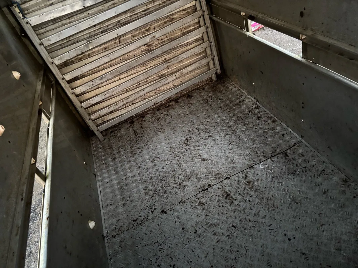 Cow box - Image 1