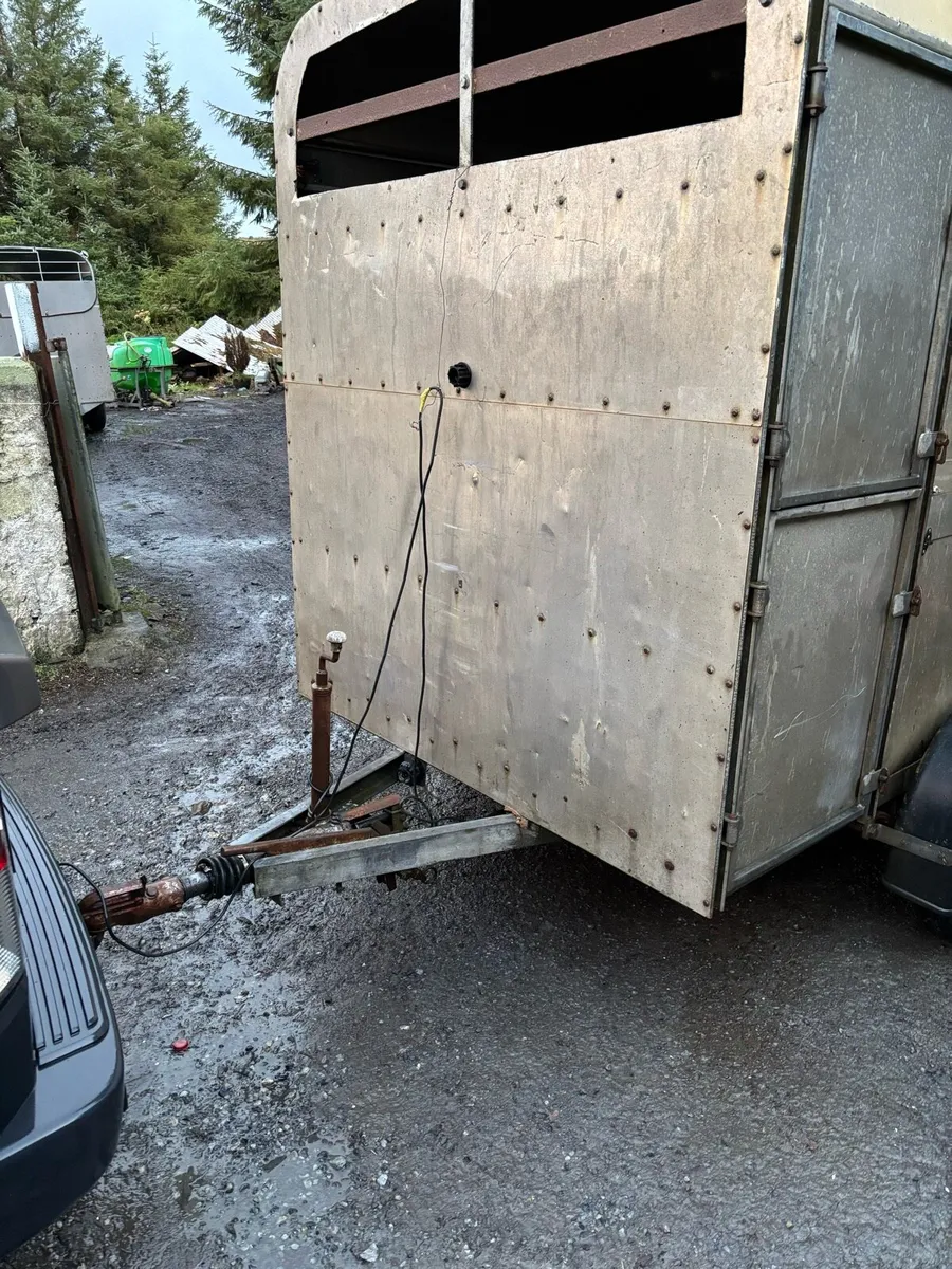 Cow box - Image 3