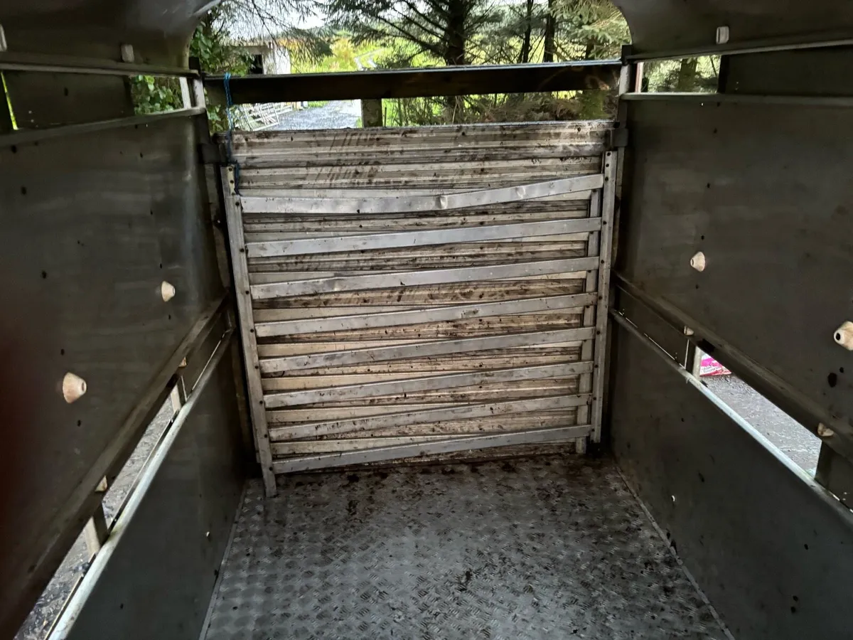 Cow box - Image 4