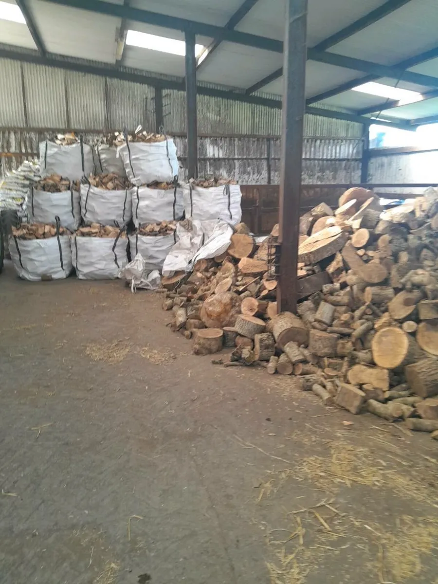 Logs for sale - Image 1