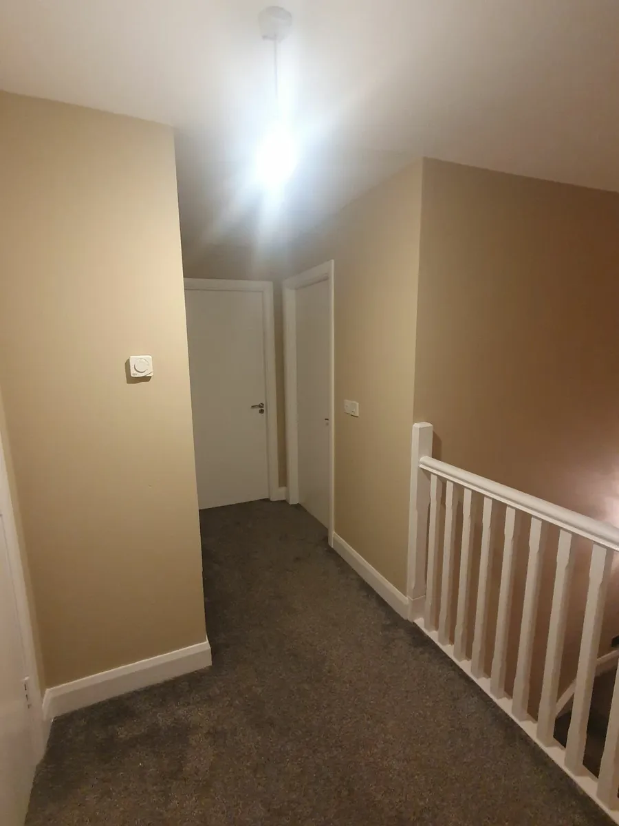 Plasterer and painter available - Image 4