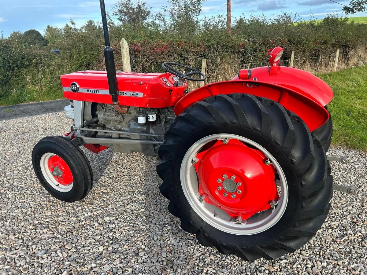 Massey 135 1968 - Image 2