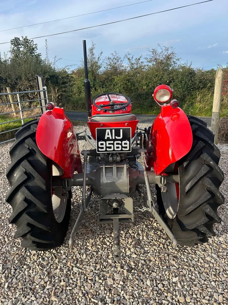 Massey 135 1968 - Image 3