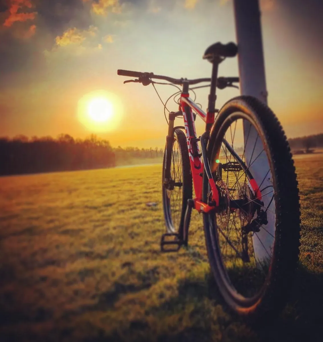 Bicycle - Image 2
