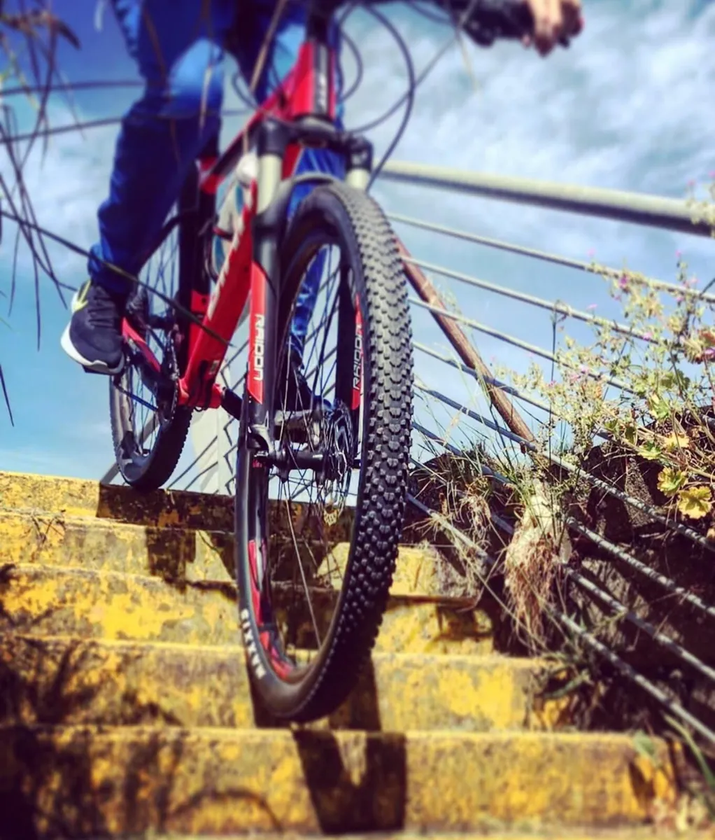 Bicycle - Image 3