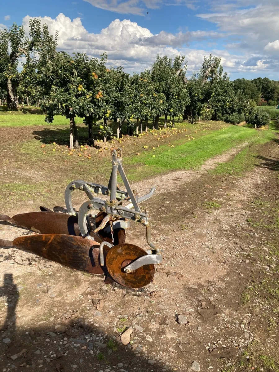 Ferguson plough. - Image 3