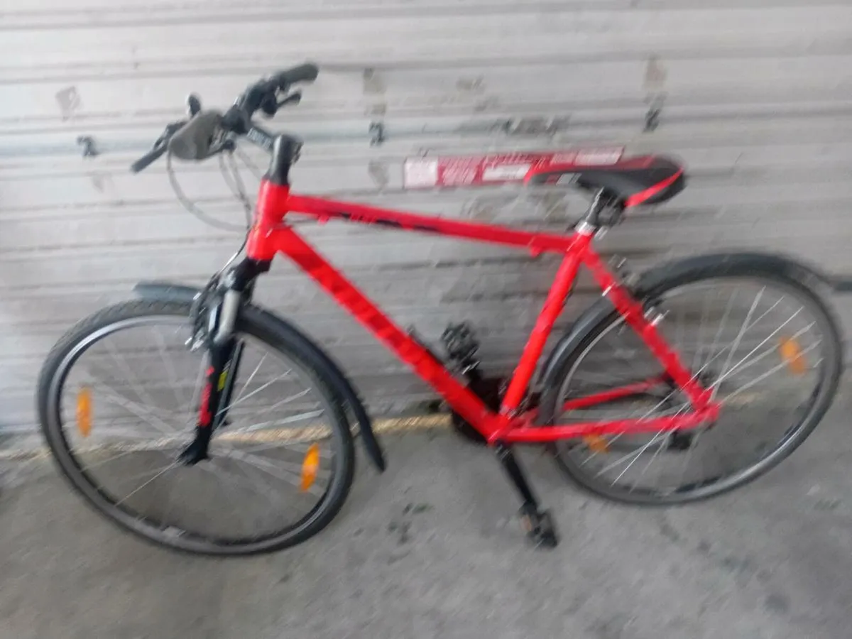Cycling kelly 10 bike - Image 1