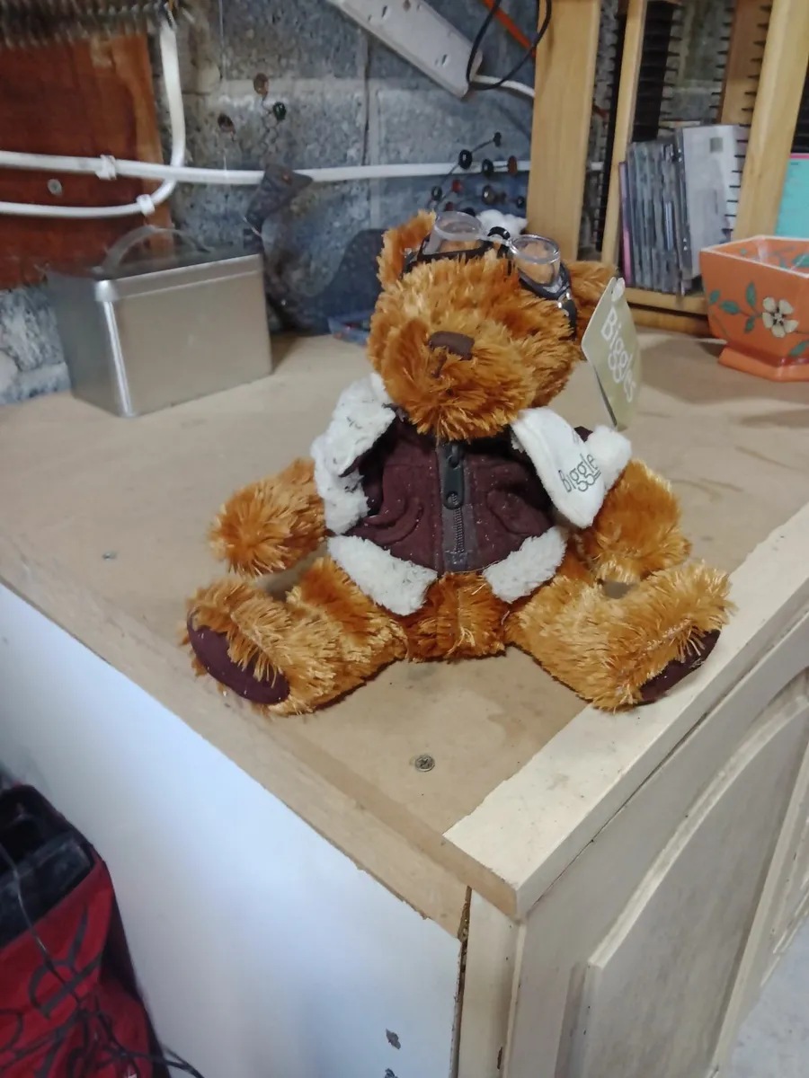 Teddy bears picnic - Image 1