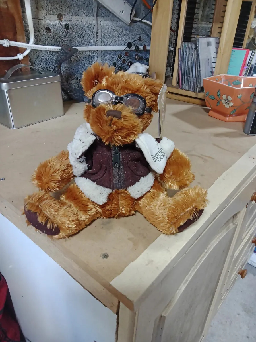 Teddy bears picnic - Image 2