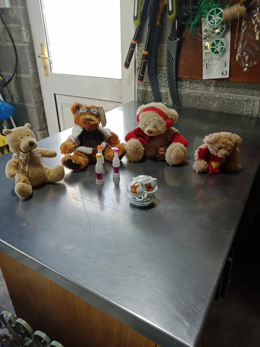 Teddy bears picnic - Image 3