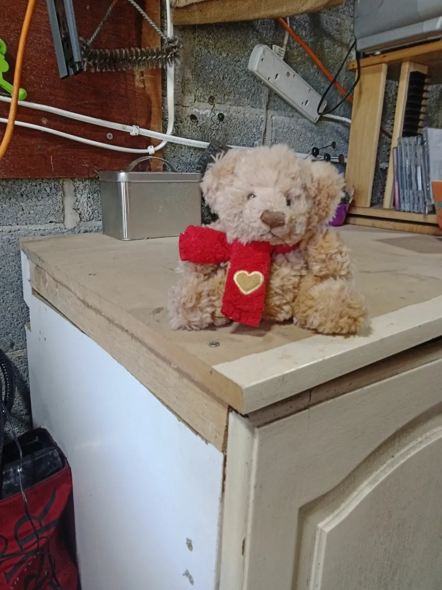 Teddy bears picnic - Image 4