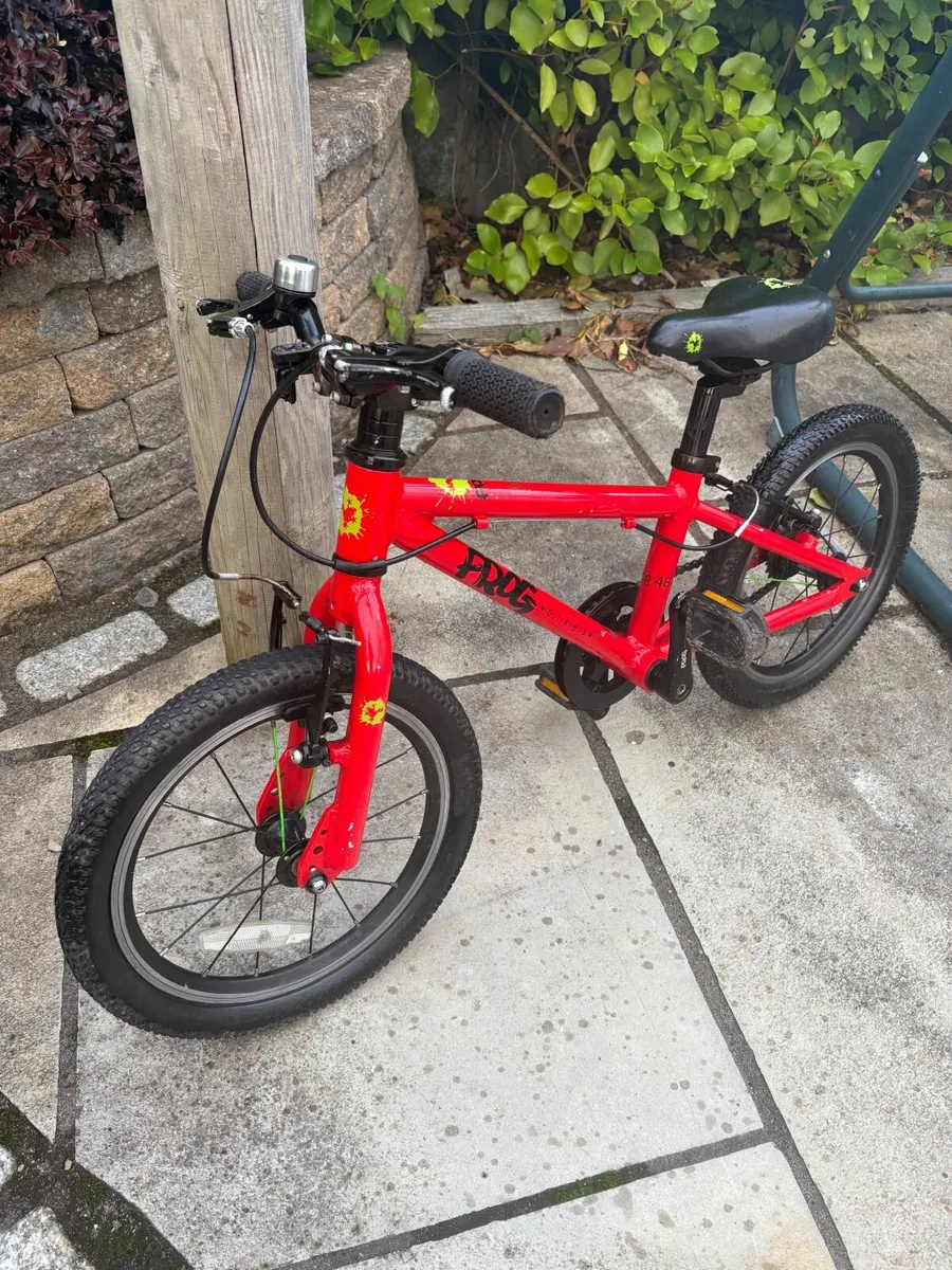 Kids Frog 48 Bicycle