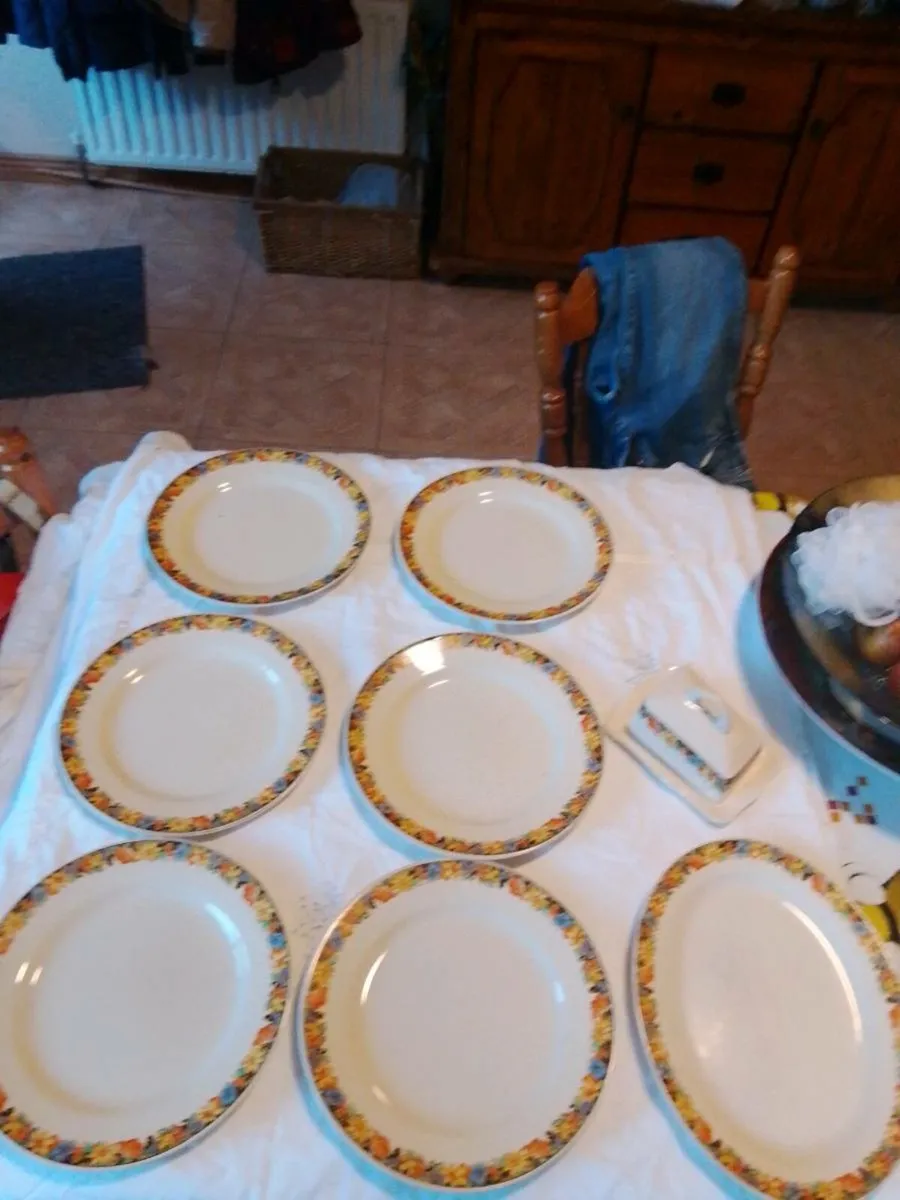 Dinner plates Vintage - Image 1