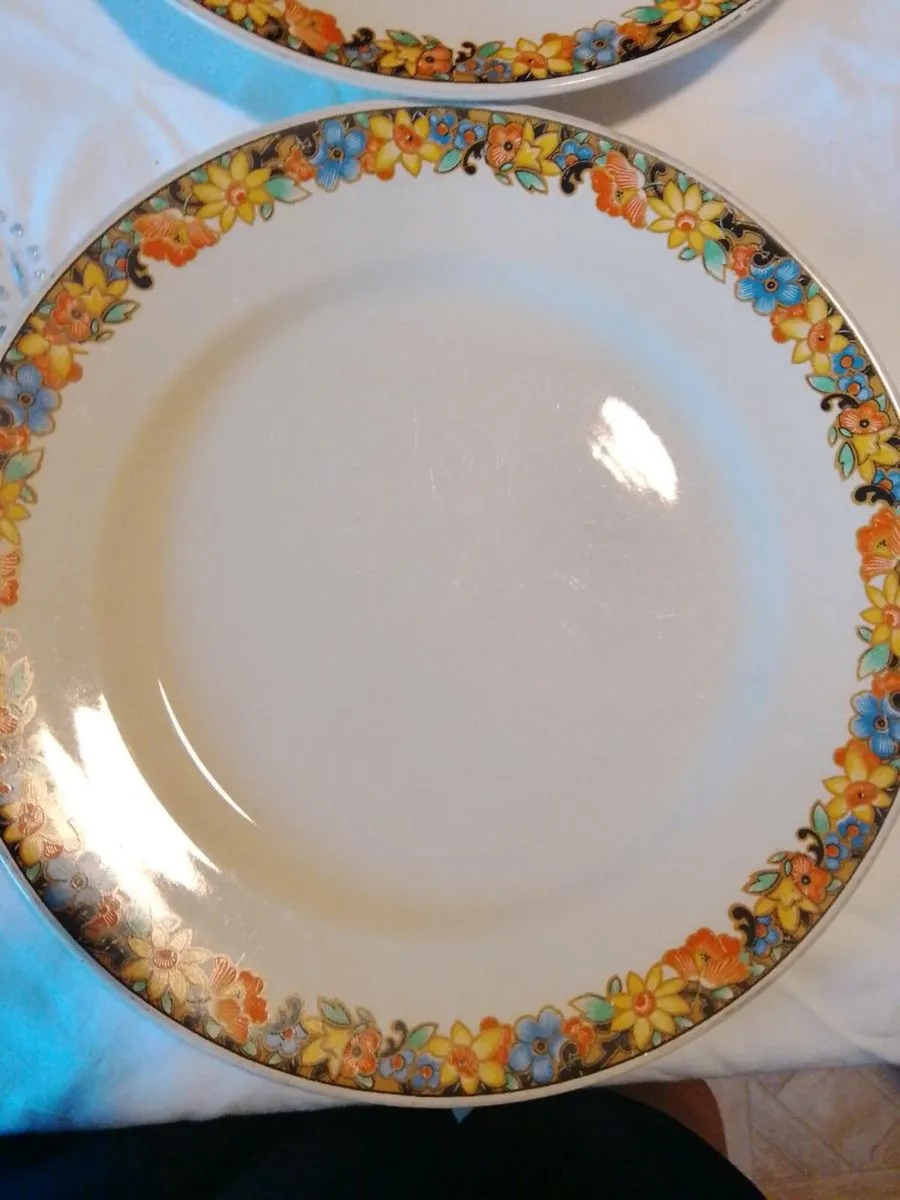Dinner plates Vintage - Image 2
