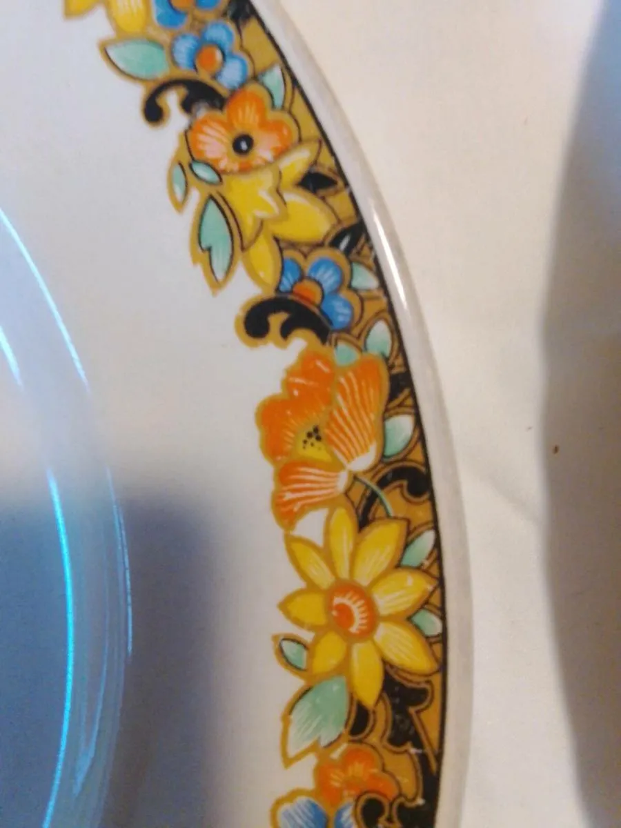 Dinner plates Vintage - Image 3