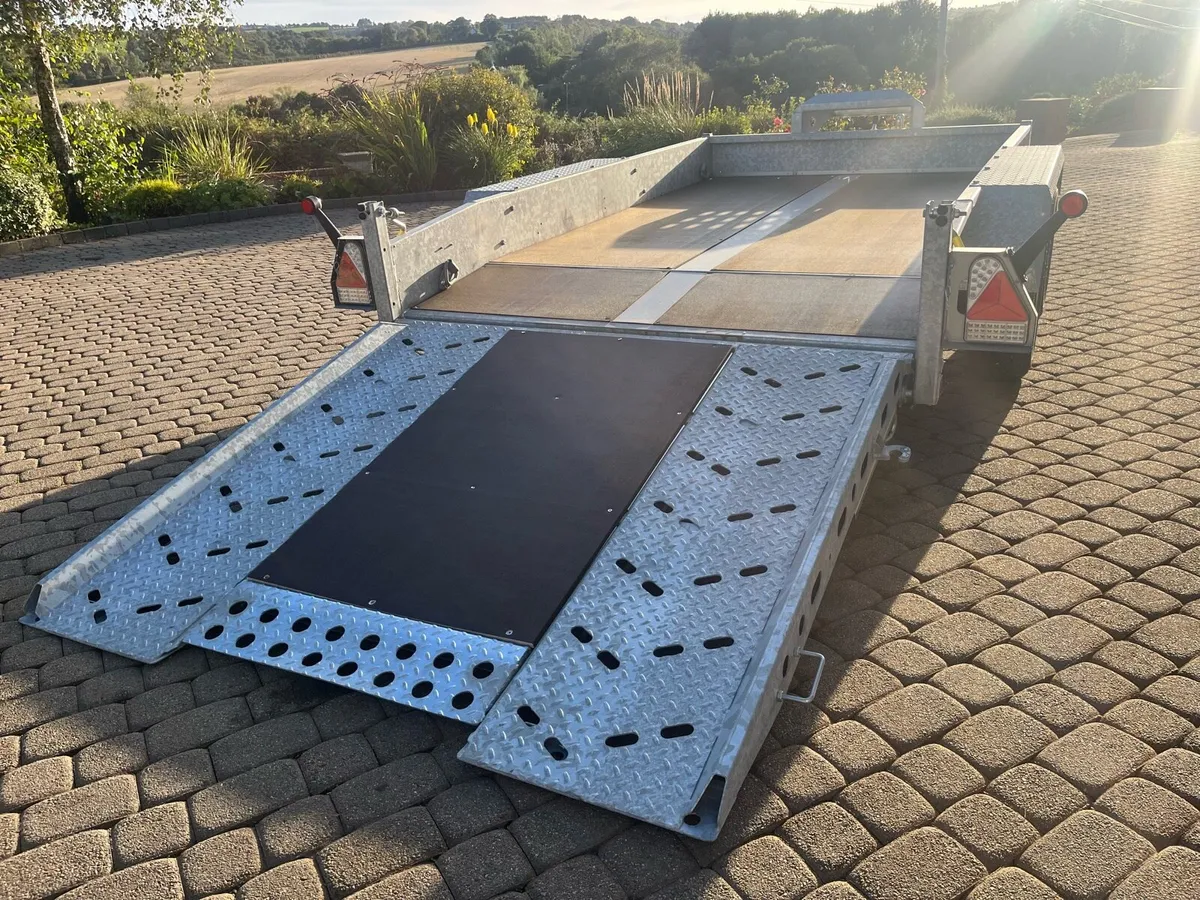 New Indespension Plant Trailer - Image 4