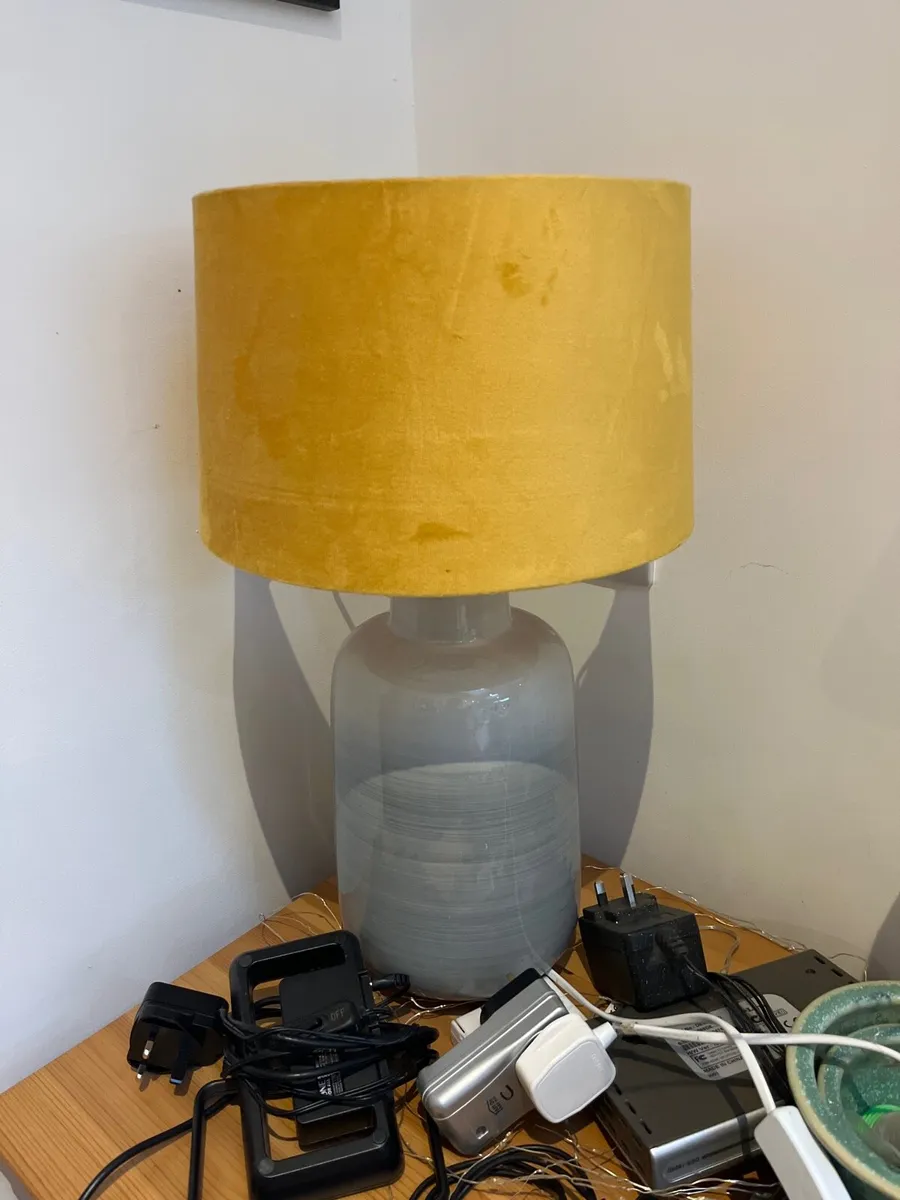 Lamp and shade free to take