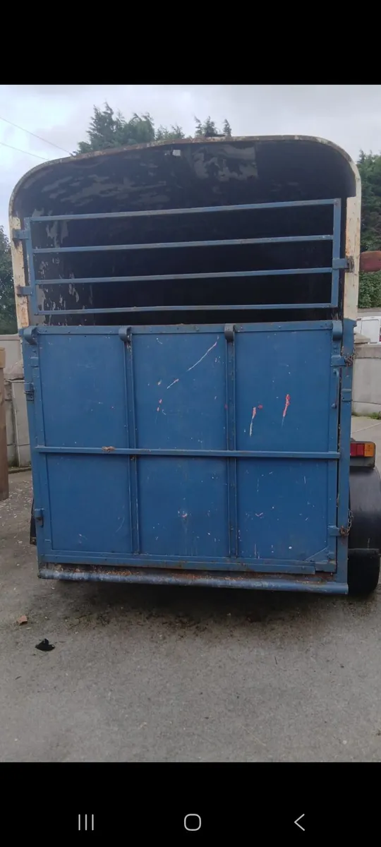 galway horsebox - Image 3