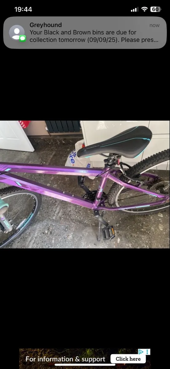 Adults/ girls bike - Image 3
