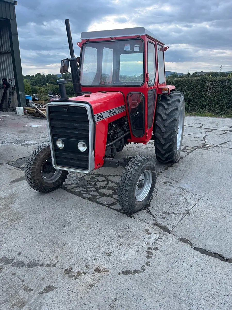Massey 290 - Image 2