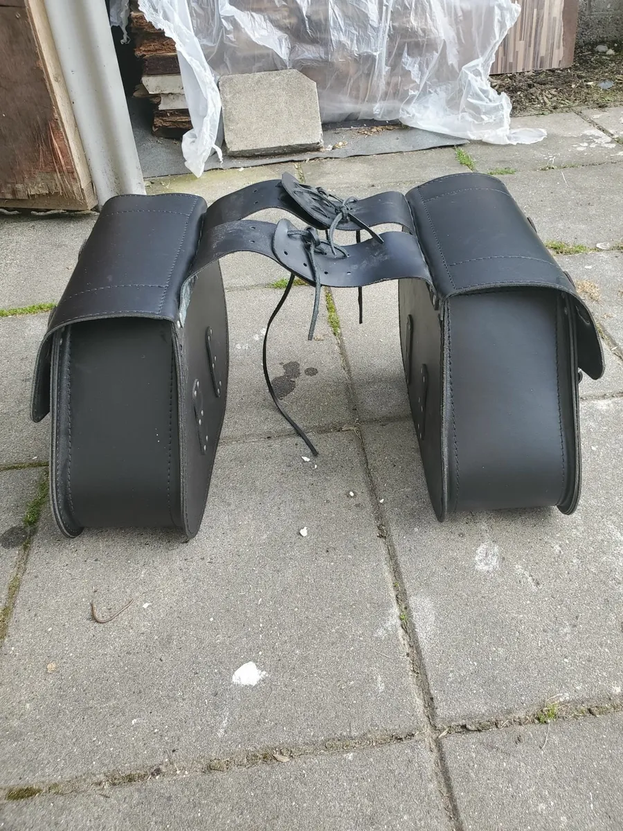 Saddlebags - Image 1