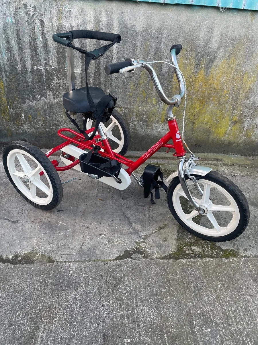 Kids Special needs bike / trike - Image 1