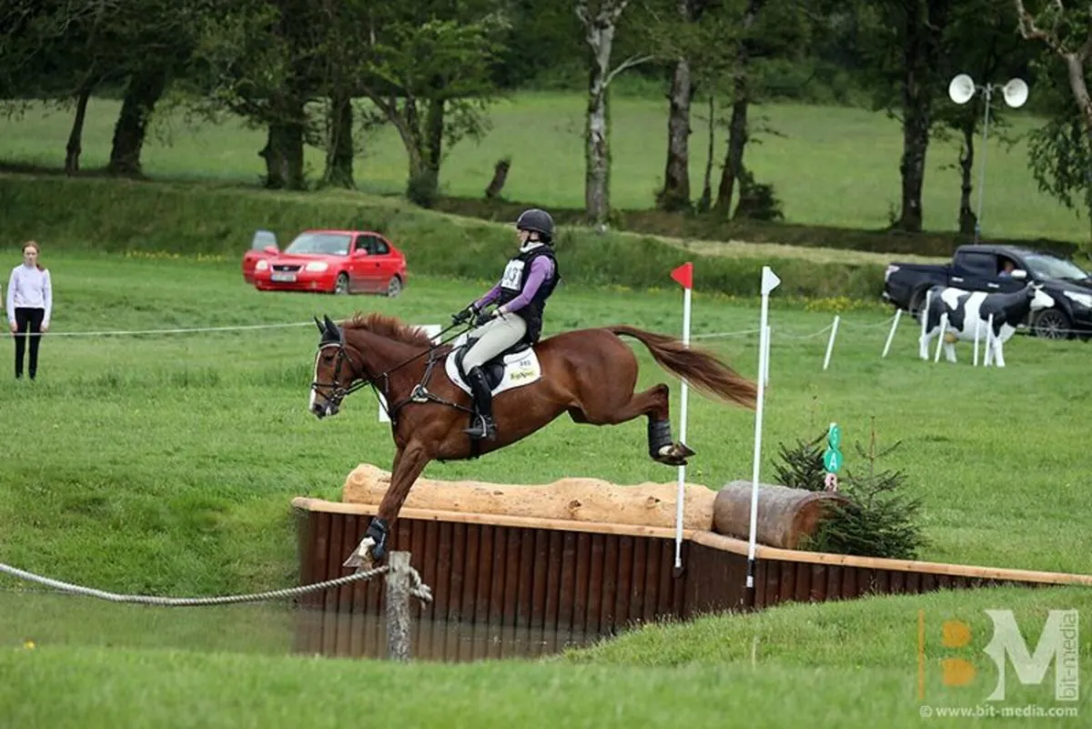 Schoolmaster Superstar - Image 2