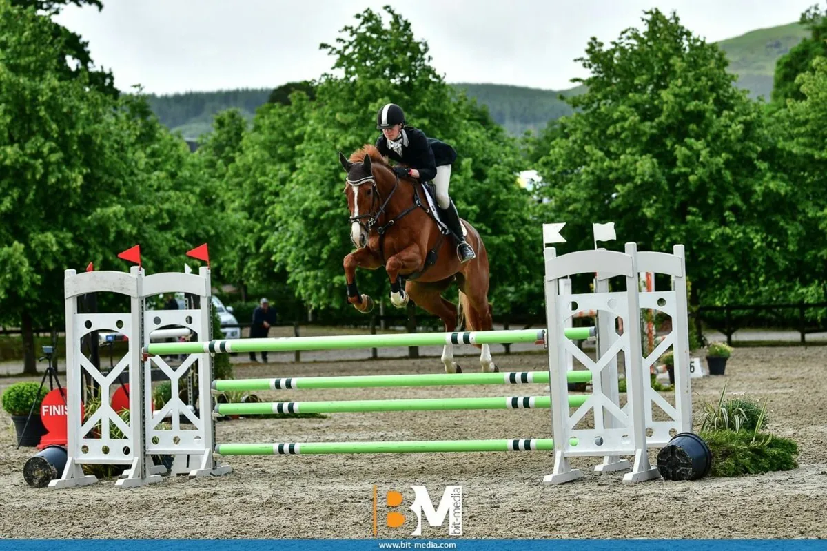 Schoolmaster Superstar - Image 3