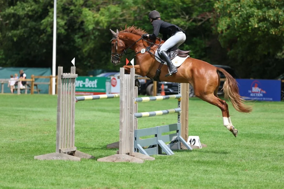 Schoolmaster Superstar - Image 1
