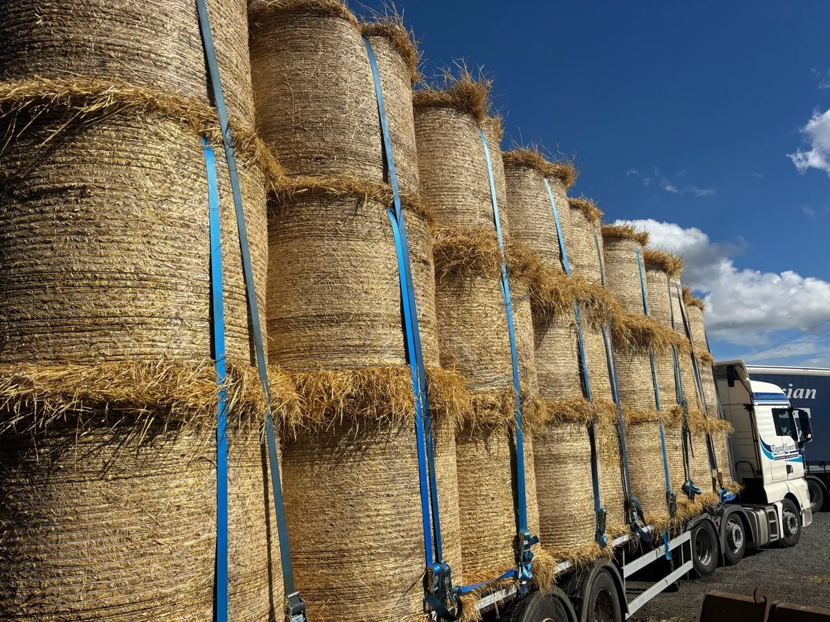 Round bales of barley straw