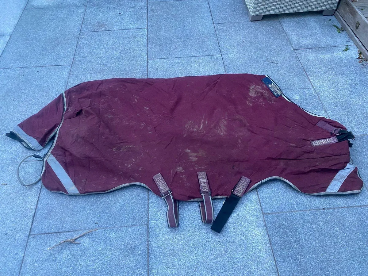 Rambo horse rug 350g 6ft - horsewear of Ireland - Image 2