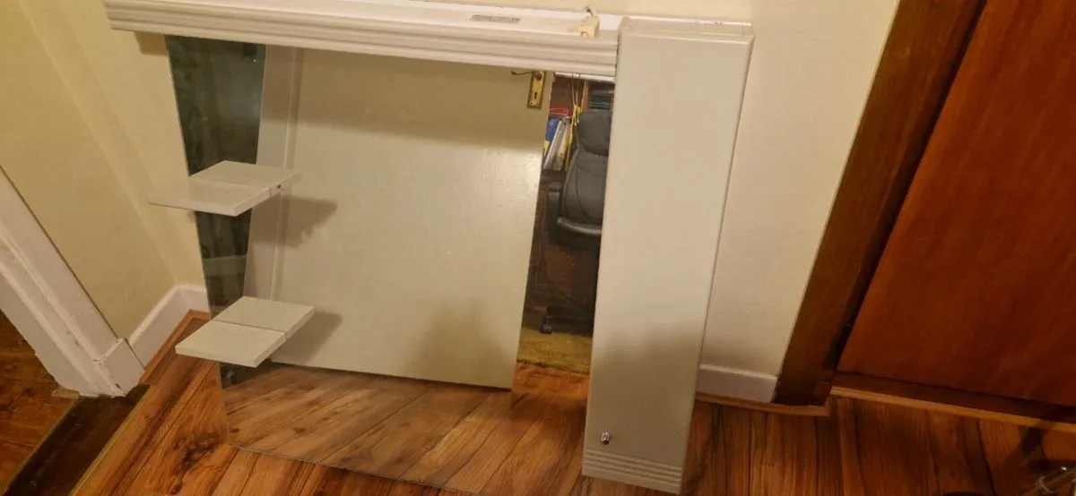 Mirror and storage - Image 2
