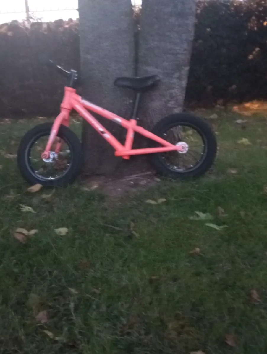 Balance Bike - Image 1