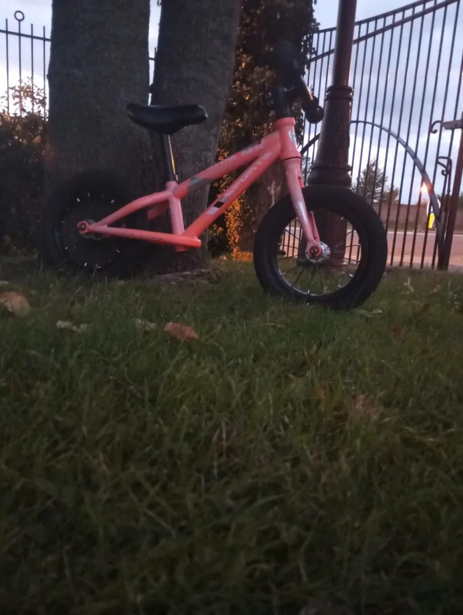 Balance Bike - Image 2