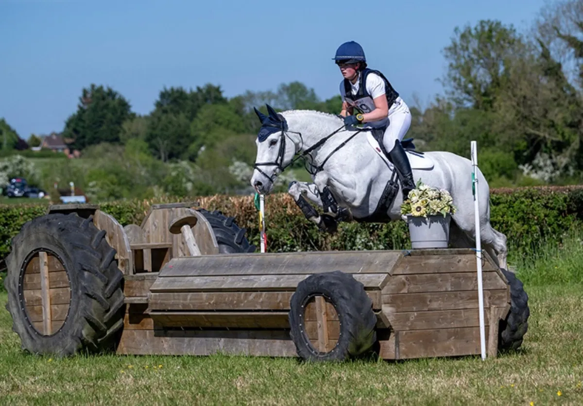 All rounder/ Event horse - Image 2