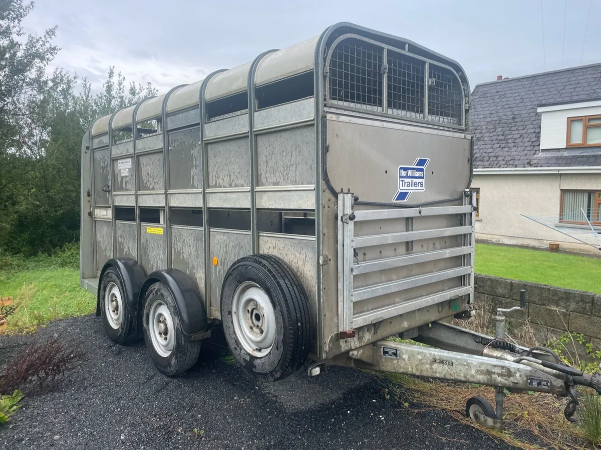 Ifor Williams livestock trailer - Image 1