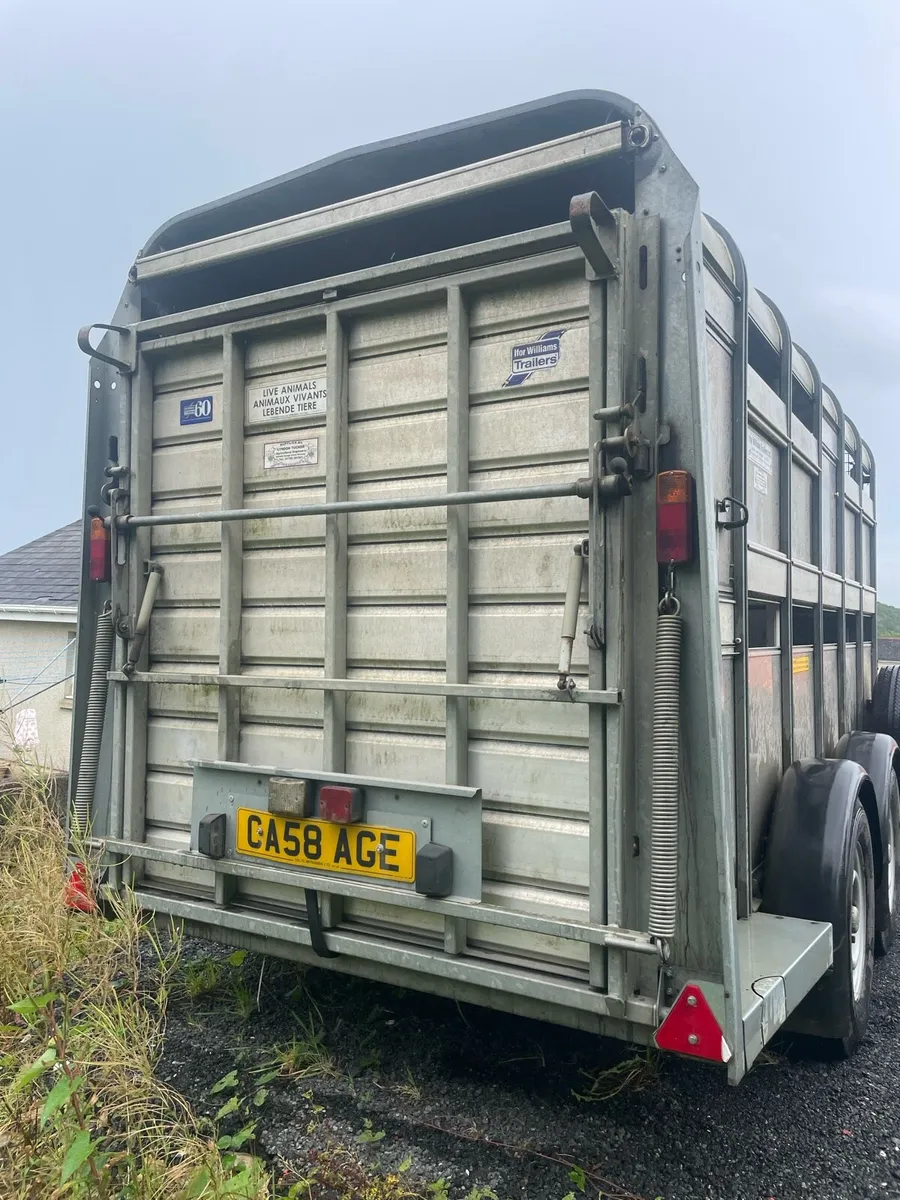 Ifor Williams livestock trailer - Image 2
