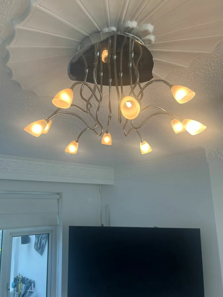 Beautiful ceiling light - Image 1