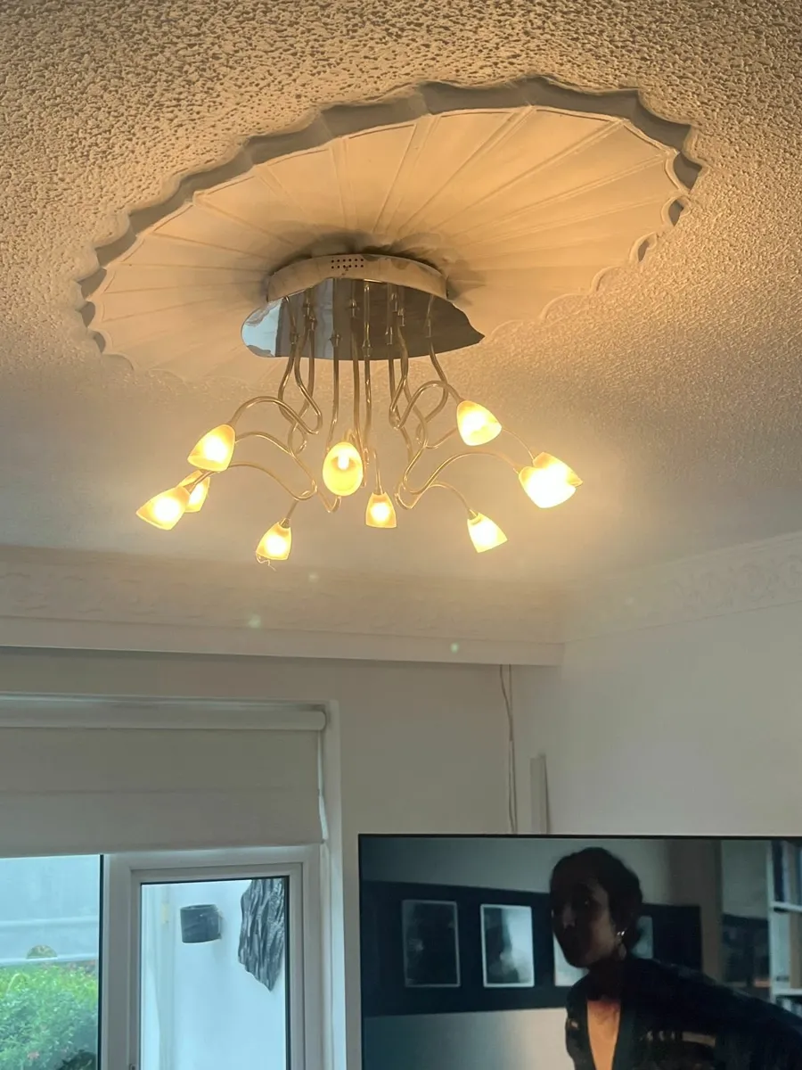 Beautiful ceiling light - Image 2
