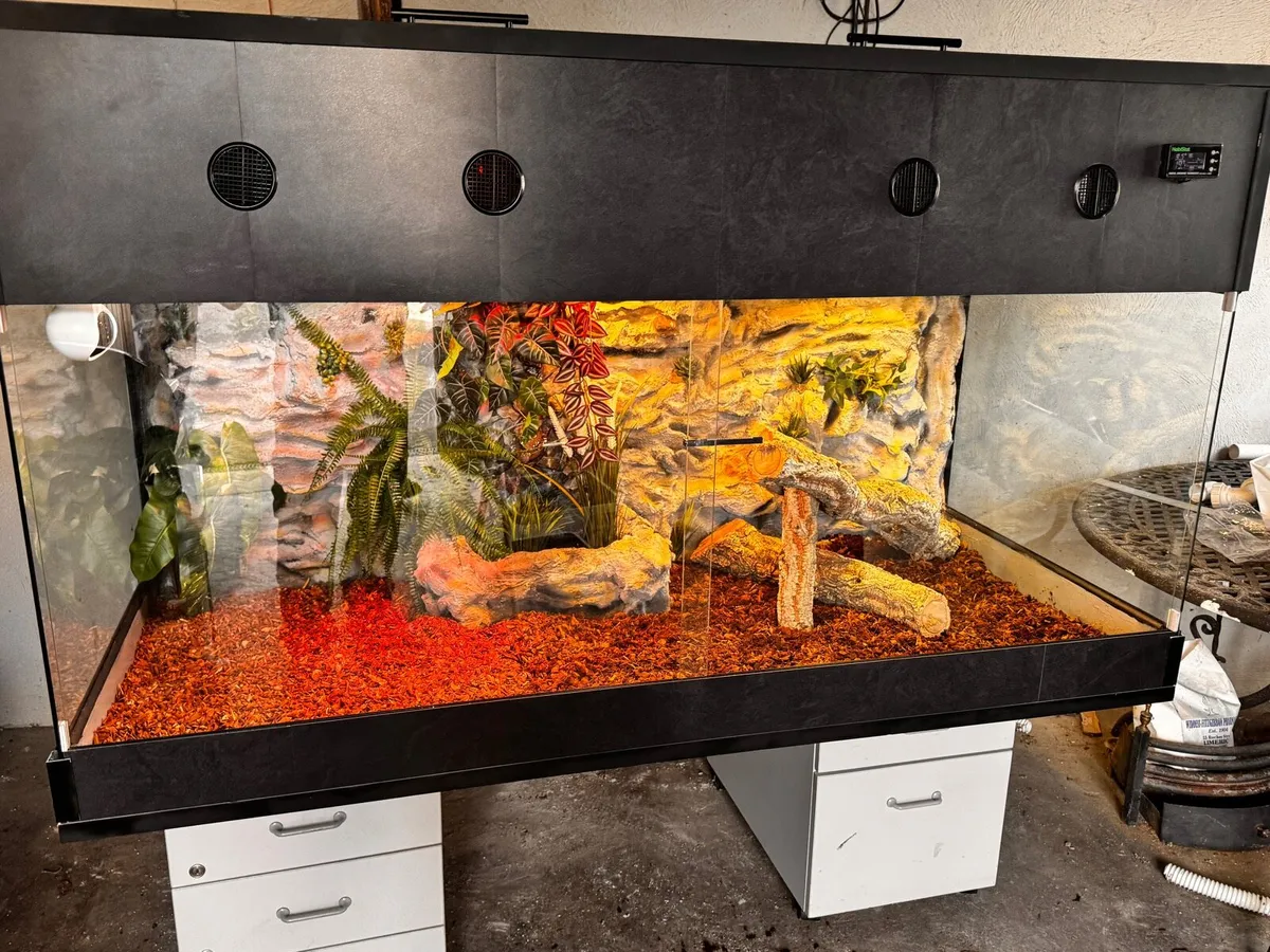 Terrarium individual project - Image 1