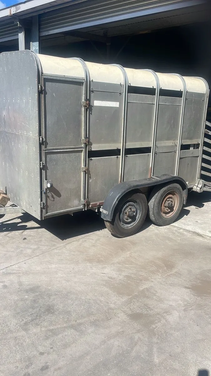 Ifor Williams cattle trailer - Image 1