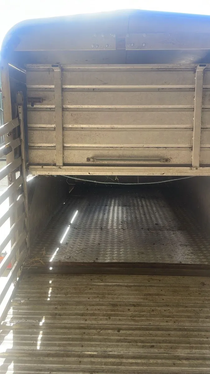 Ifor Williams cattle trailer - Image 4