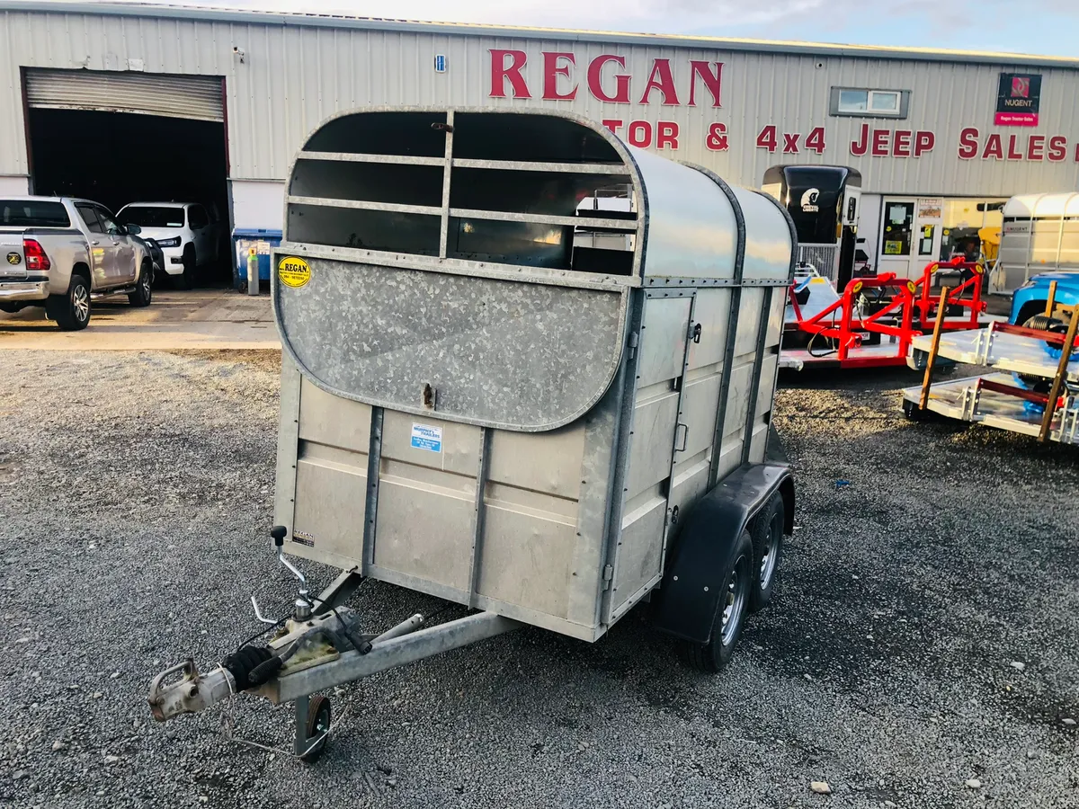 Murphy 2 cow trailer - Image 3