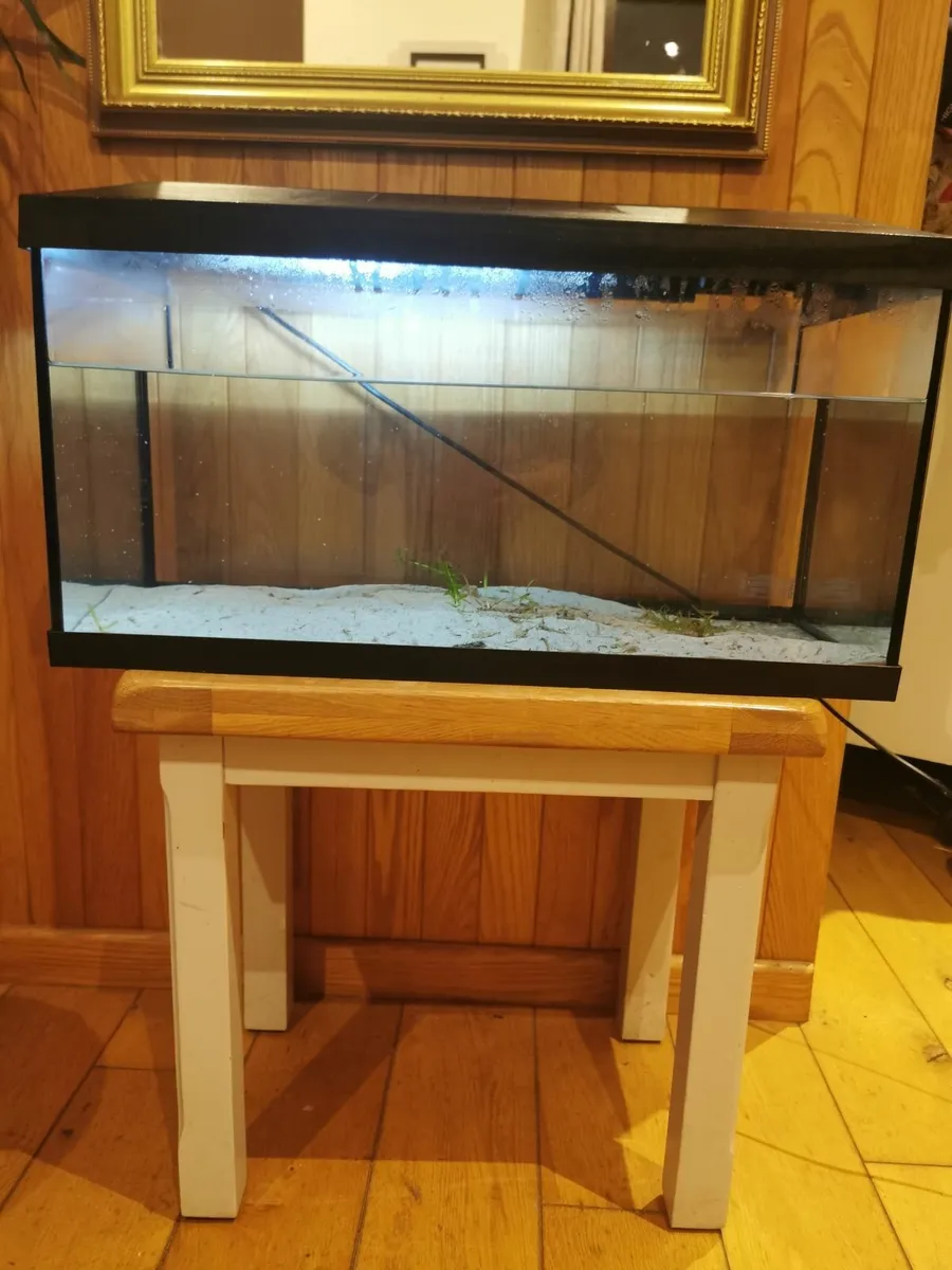Fish Tank, 60 Ltr. - Image 1