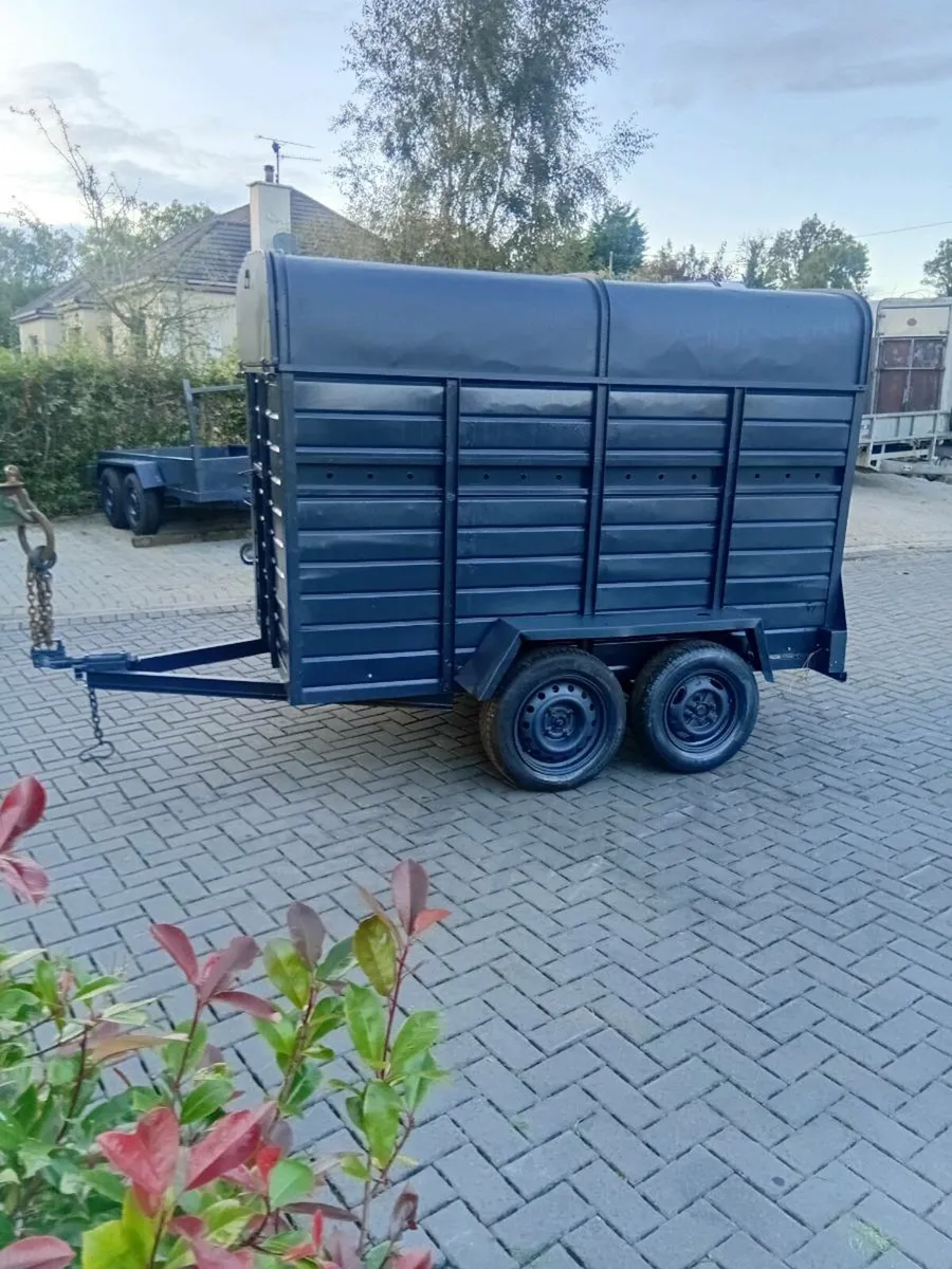 Cow trailer - Image 1