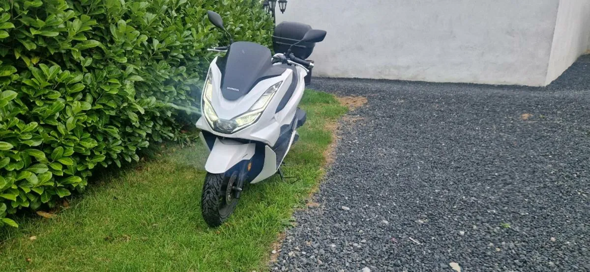 Honda pcx - Image 4